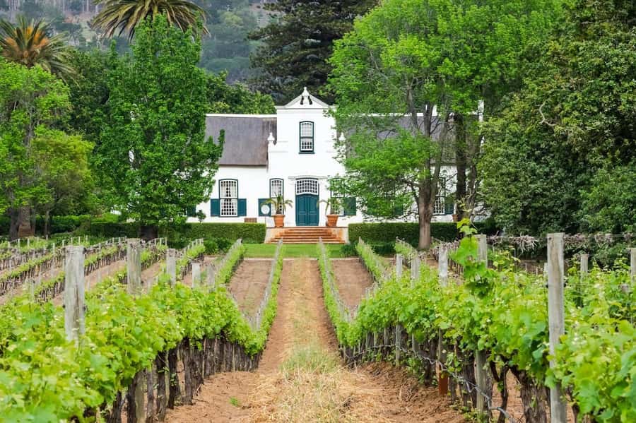 Cape Town: Guided Winelands Tour & Tasting in Stellenbosch - Inside Zevenwacht’s Working Cellar