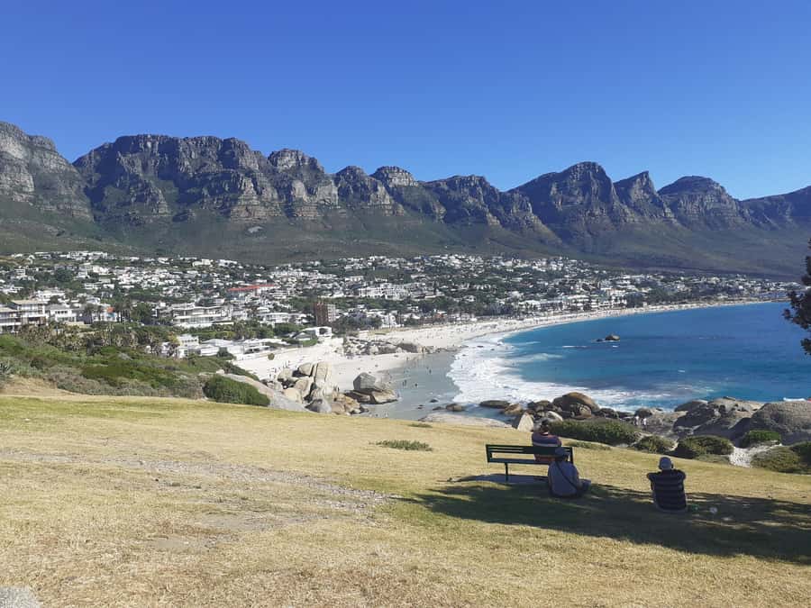 Cape Town: Halfday African Penguin tour - Chapman’s Peak Drive and its 114 curves