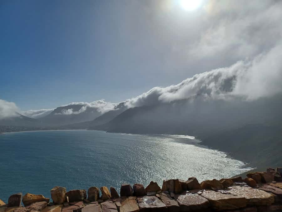 Cape Town: Halfday African Penguin tour - Passing through Hout Bay and Simon’s Town