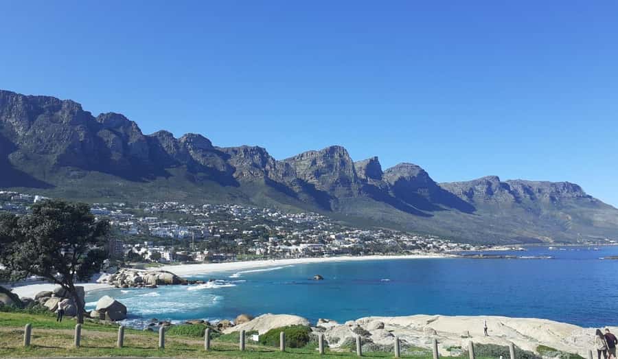 Cape Town: Halfday African Penguin tour - Starting in Bo-Kaap’s colourful streets