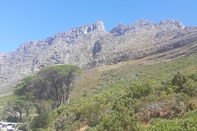 Cape Town Halfday City and Table Mountain Tour - The city drive fills in the historic center