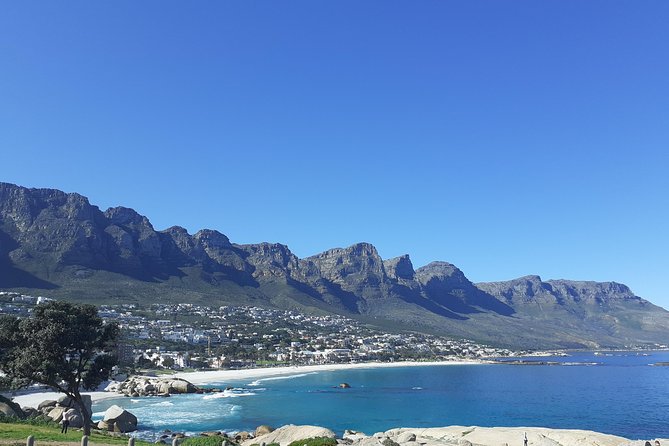 Cape Town Halfday City and Table Mountain Tour - Table Mountain: the essential first stop