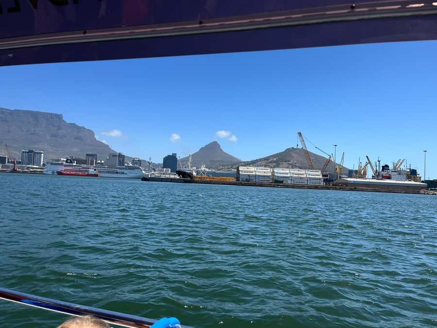 Cape Town: Harbor Cruise - Table Mountain from the harbor