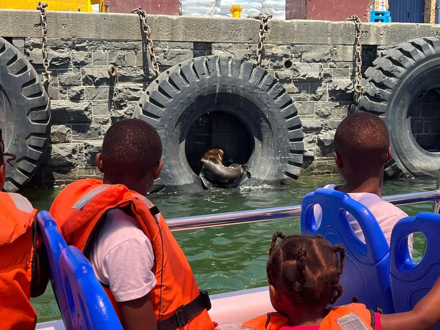 Cape Town: Harbor Cruise - Is the optional breakfast worth adding?
