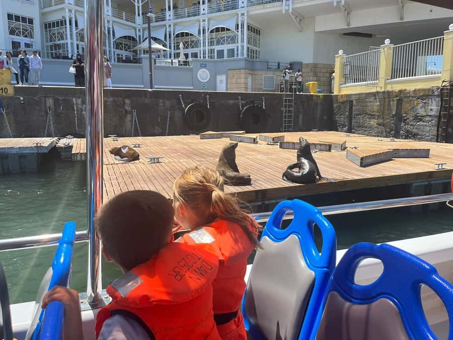 Cape Town: Harbor Cruise - Price, timing, and practical value