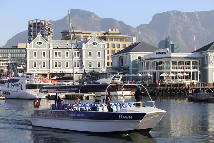 Cape Town: Harbor Cruise - Seals, gulls, and the best moments on the water