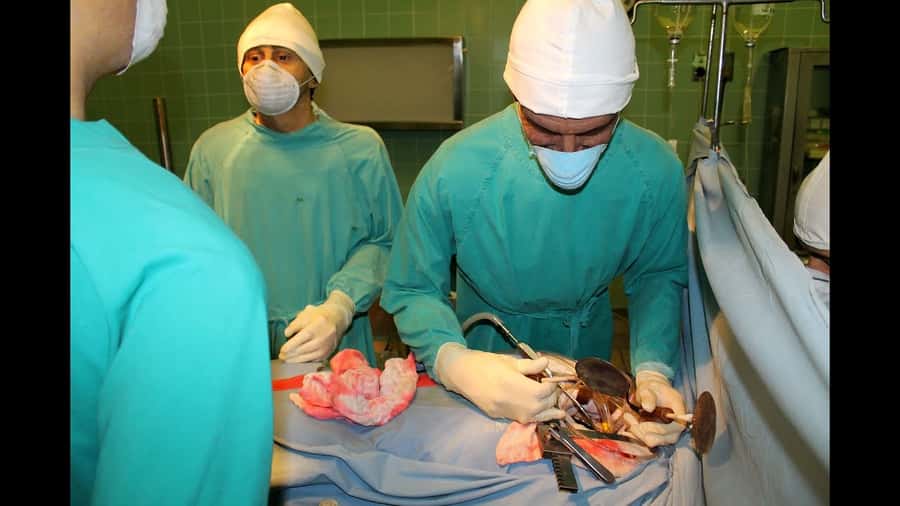 Cape Town: Heart of Cape Town Medical Museum Entrance Ticket - Why this heart transplant museum matters