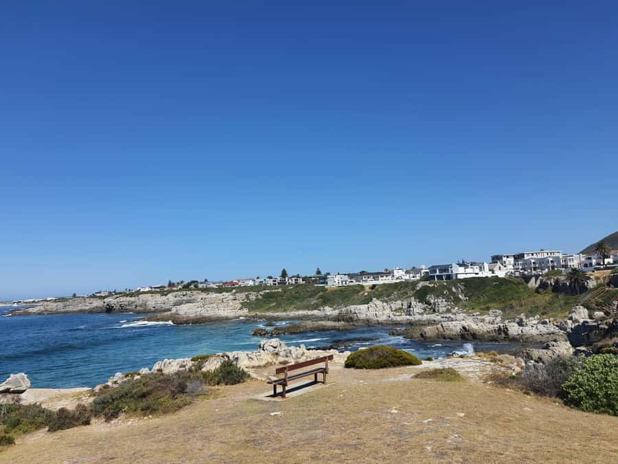 Cape Town: Hermanus Whale Watching Shared Boat & Penguins - Setting out from Hermanus New Harbour