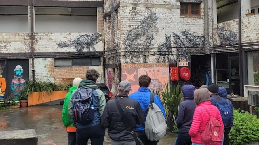 Cape Town: Inspiring sustainable change through Street Art - Reading the murals instead of only photographing them
