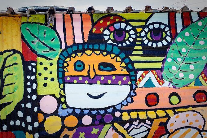Cape Town Khayelitsha Township Tour - Choosing Between a Mural and a Home Garden
