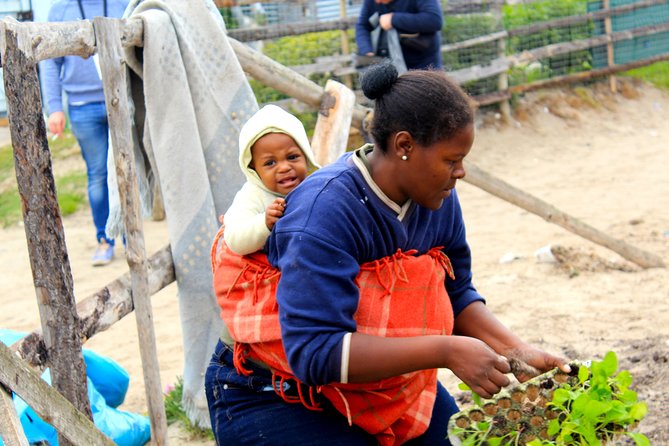 Cape Town Khayelitsha Township Tour - Who Will Enjoy This Khayelitsha Experience