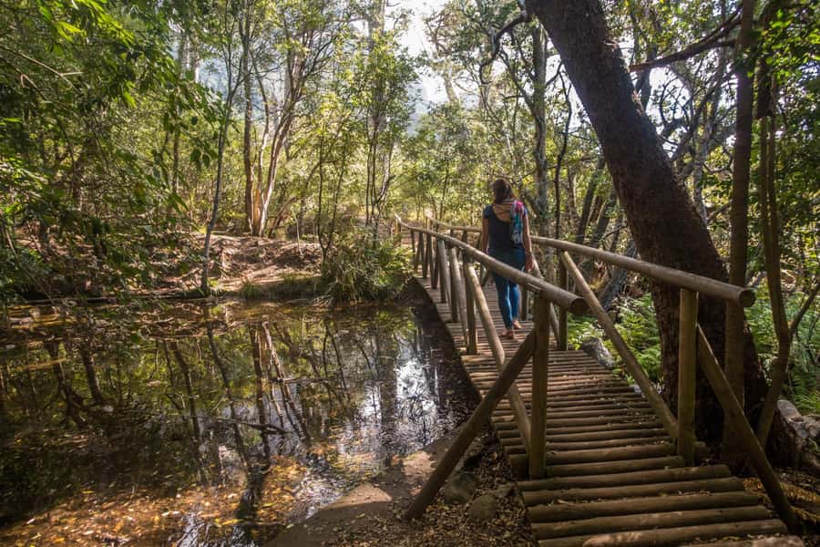 Cape Town: Kirstenbosch Botanical Garden Entry Ticket - Why Kirstenbosch Works So Well as a Cape Town Day Out