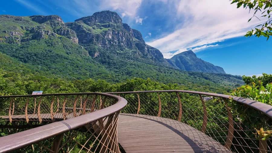 Cape Town: Kirstenbosch Botanical Garden Entry Ticket - A Full Day Means You Can Set Your Own Pace