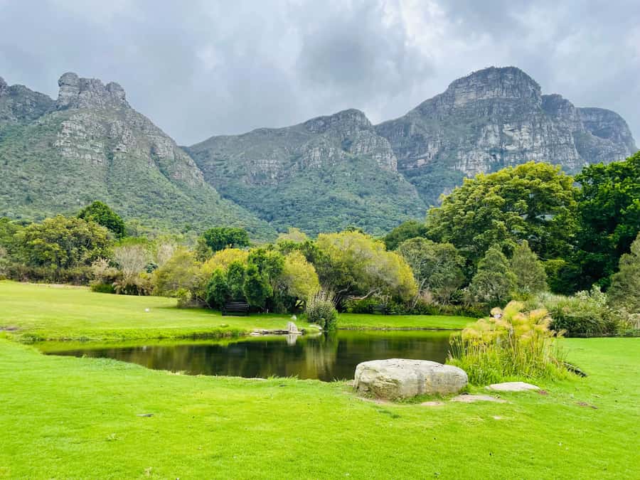 Cape Town: Kirstenbosch Botanical Garden Entry Ticket - Food, Bags, and What to Carry