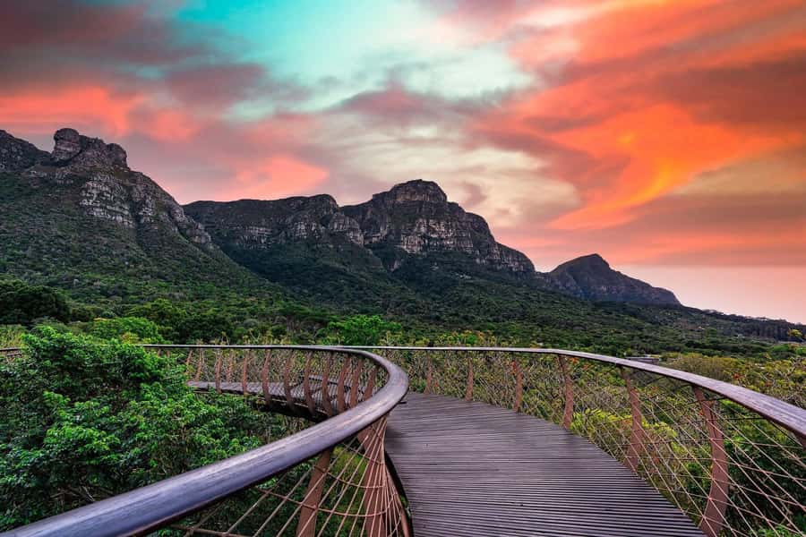 Cape Town: Kirstenbosch Botanical Garden Entry Ticket - Who Will Get the Most From This Ticket