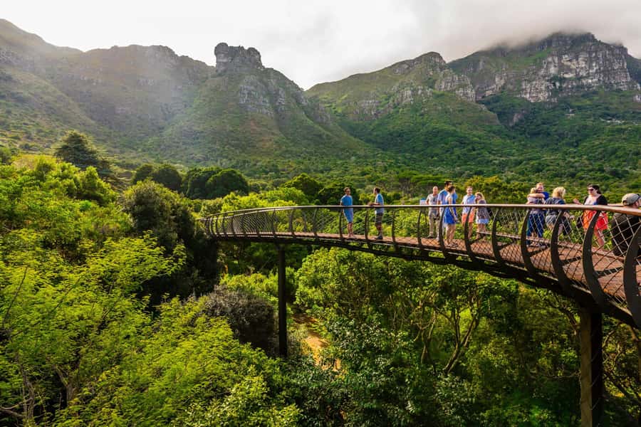 Cape Town: Kirstenbosch Botanical Garden Entry Ticket - The Boomslang Walkway Gives You a New View