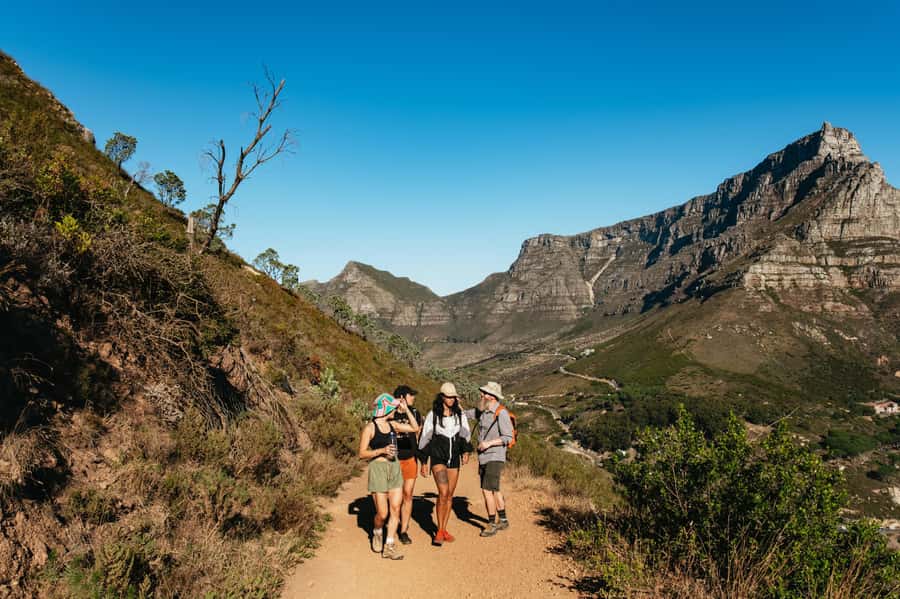 Cape Town: Lion's Head Guided Hike at Sunset - The climb: rocks, ladders, and local nature