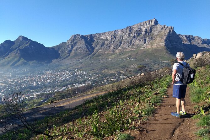 Cape Town: Lion's Head Hike - Chains, ladders, and staples add real adventure