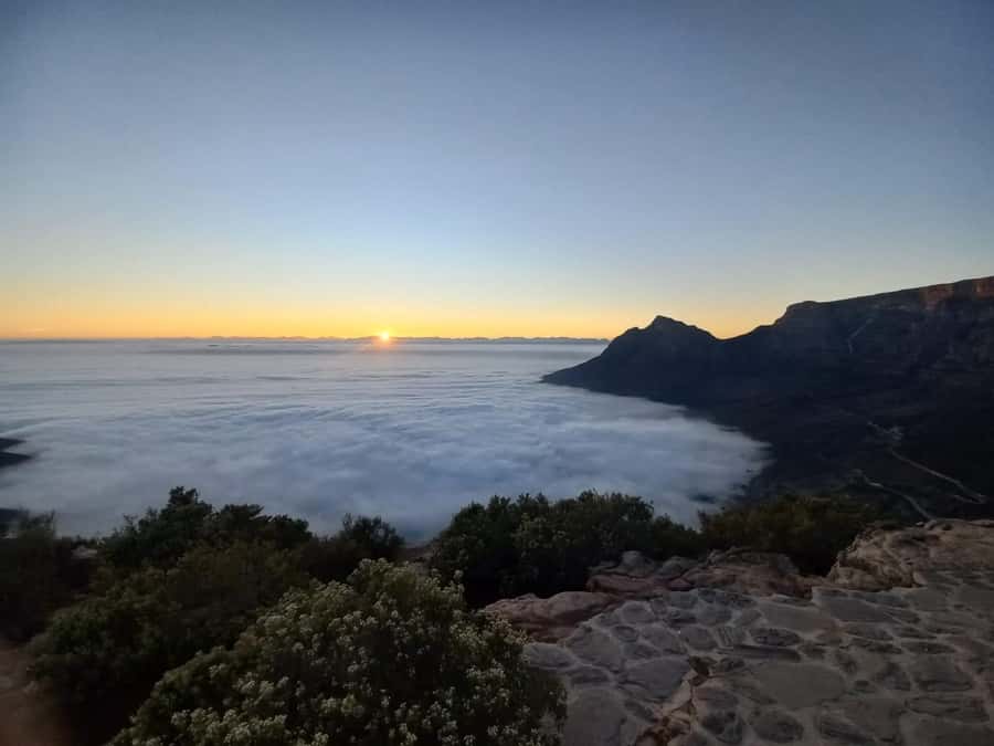 Cape Town: Lion's Head Sunrise Hike - The guides are a major part of the value