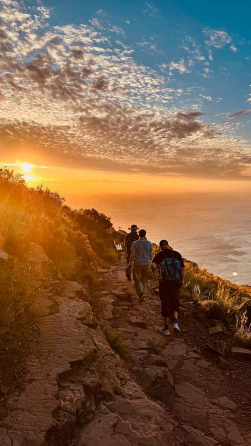 Cape Town: Lion's Head Sunrise or Sunset Guided Hike - Scrambling, ladders, and exposed sections