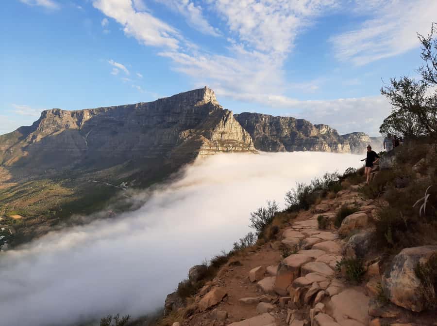 Cape Town: Lion's Head Sunrise with coffee or Sunset Hike - Is $49 a fair price?