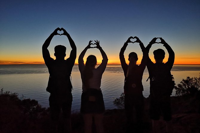 Cape Town: Lion's Head Sunset Hike - What the guide adds to the experience