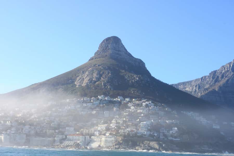 Cape Town: Marine Big 5 Ocean Safari from V&A Waterfront - Starting at Quay 5 in the V&A Waterfront