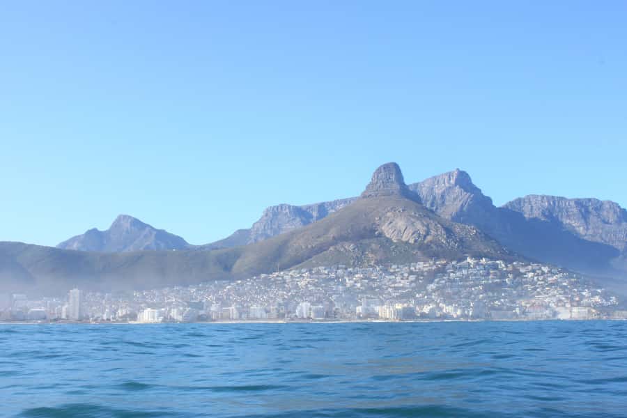 Cape Town: Marine Big 5 Ocean Safari from V&A Waterfront - Who should book this Cape Town boat trip?