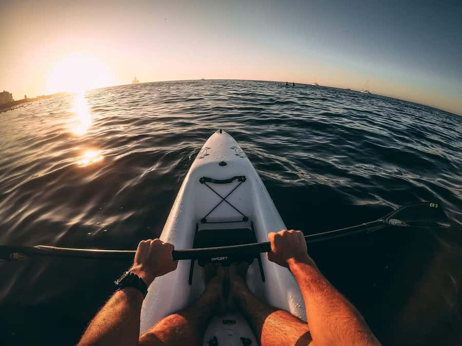 Cape Town: Marine Life Kayak Tour From the V&A Waterfront - Table Mountain from the water