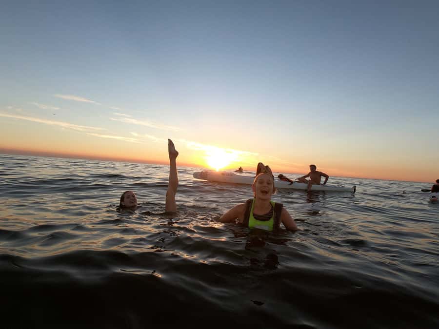 Cape Town: Marine Life Kayak Tour From the V&A Waterfront - Is $37 a fair price?