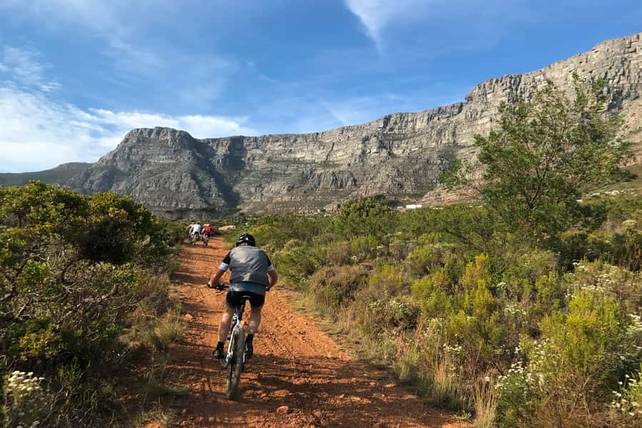 Cape Town: Mountain Biking Trip along Table Mountain - What the $94 price covers