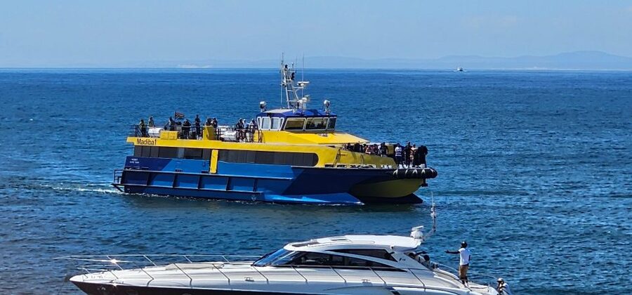 Cape Town: Ocean Safari 1 Hour - How this compares with a longer wildlife outing