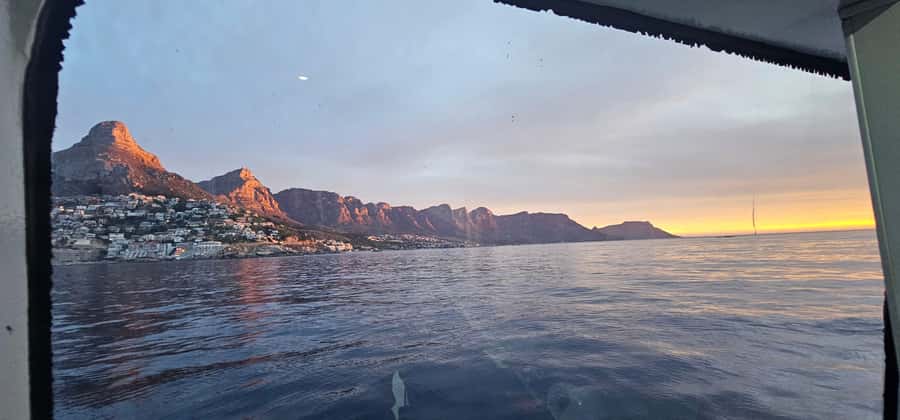 Cape Town: Ocean Safari 1 Hour - Why the one-hour length works