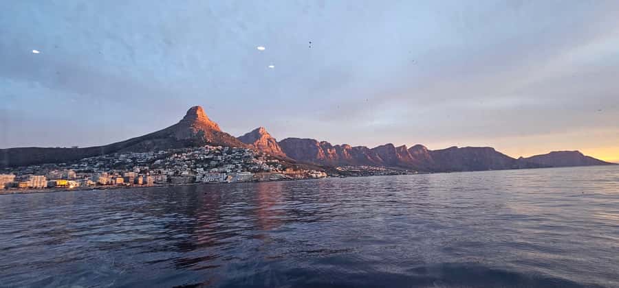 Cape Town: Ocean Safari 1 Hour - What the guide adds