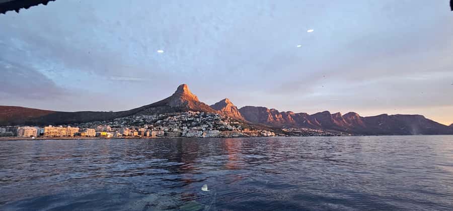 Cape Town: Ocean Safari 1 Hour - Comfort, weather, and who should skip it