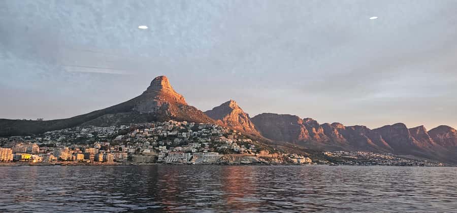 Cape Town: Ocean Safari 1 Hour - Booking flexibility and meeting details