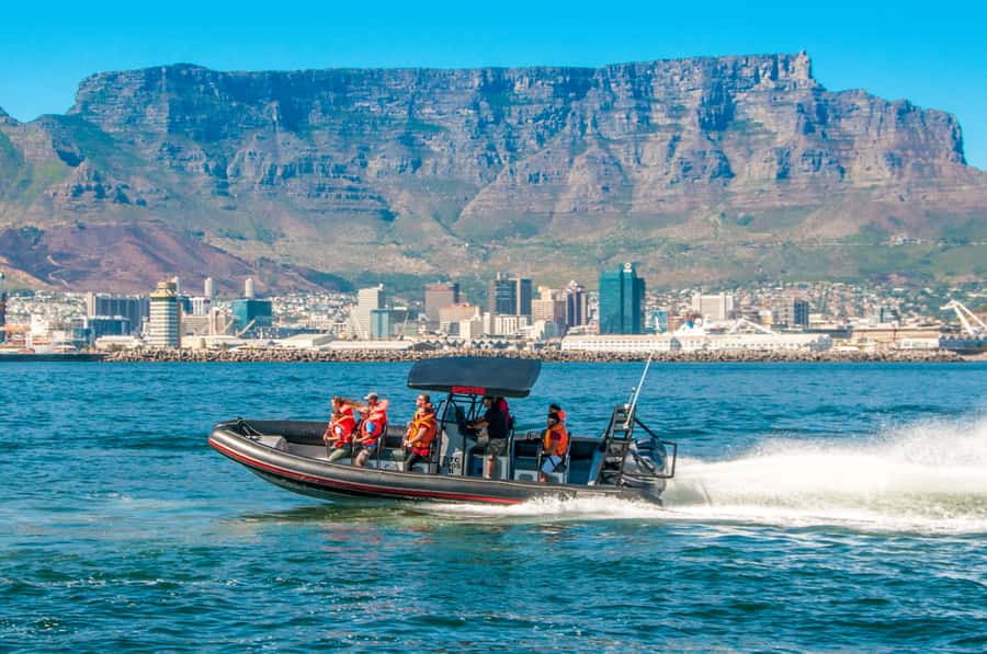 Cape Town Ocean Safari: Speed Boat Adventure in Table Bay - Key points to know before you book