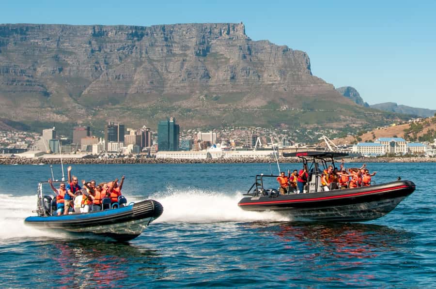 Cape Town Ocean Safari: Speed Boat Adventure in Table Bay - What this Table Bay safari really feels like