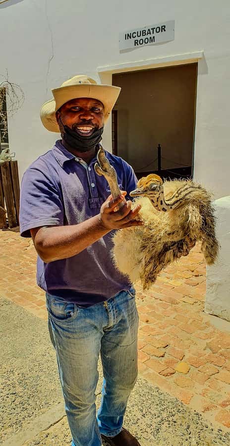 CAPE TOWN: OSTRICH RANCH QUAD BIKE RIDE & OSTRICH TOUR - What the quad ride feels like on uneven ground