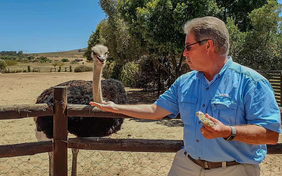 CAPE TOWN: OSTRICH RANCH QUAD BIKE RIDE & OSTRICH TOUR - Practical preparation for the ranch