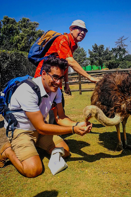 CAPE TOWN: OSTRICH RANCH QUAD BIKE RIDE & OSTRICH TOUR - Should you book the ostrich ranch package?