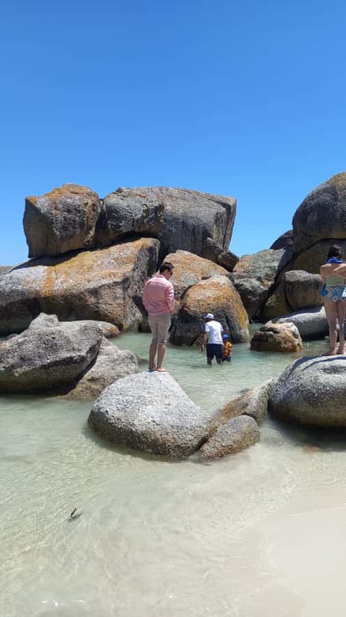 Cape Town: Penguin Watching at Boulders Beach Half Day Tour - Key points at a glance