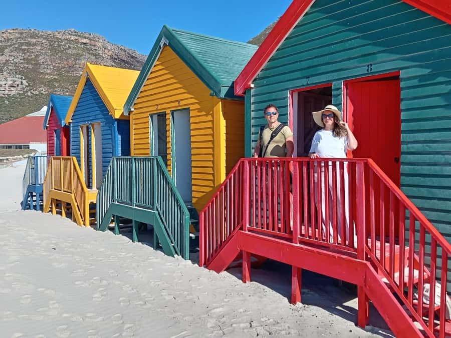 Cape Town: Penguin Watching at Boulders Beach Half Day Tour - Swimming near the penguins