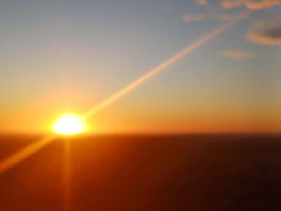 Cape Town: Penguins and Cape of Good Hope Sunset Tour - Why this half-day Cape Peninsula trip works
