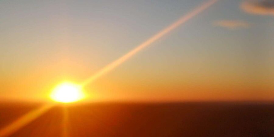 Cape Town: Penguins and Cape of Good Hope Sunset Tour - What the $38 price really covers