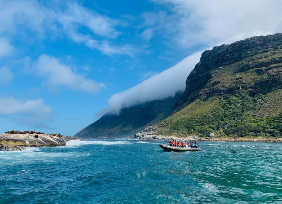 Cape Town: Penguins & Cape of Good Hope Day Tour with Pickup - Why this Cape Peninsula route works so well