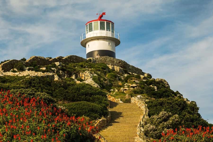 Cape Town: Penguins & Cape of Good Hope Day Tour with Pickup - Cape Point Nature Reserve and the lighthouse