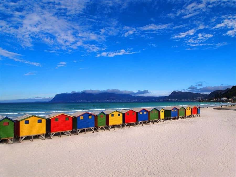 Cape Town: Penguins & Cape of Good Hope Half-Day Tour - Boulders Beach and the African penguin colony