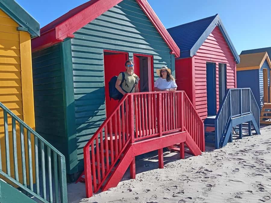 Cape Town: Penguins & Cape of Good Hope Half-Day Tour - The guide makes the difference