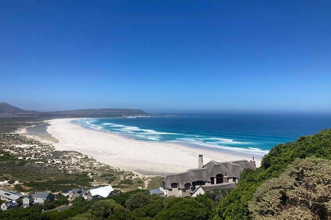 Cape Town: Peninsula, Cape of Good Hope and Penguins Tour - Boulders Beach and African penguins